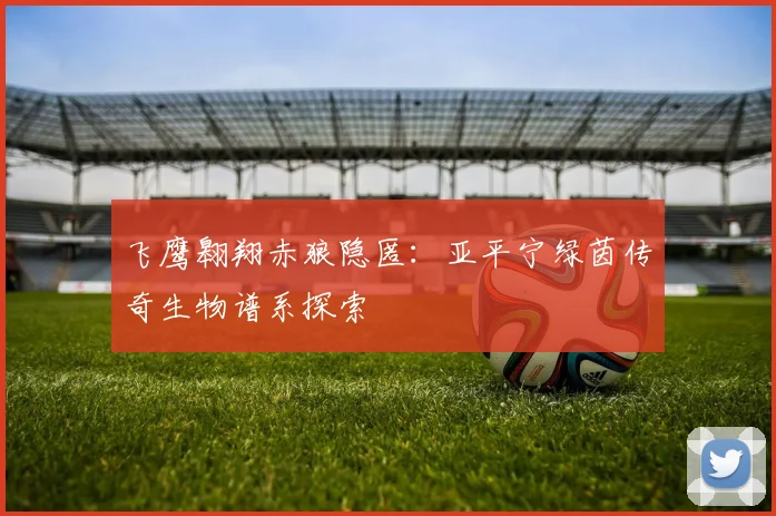 飞鹰翱翔赤狼隐匿：亚平宁绿茵传奇生物谱系探索