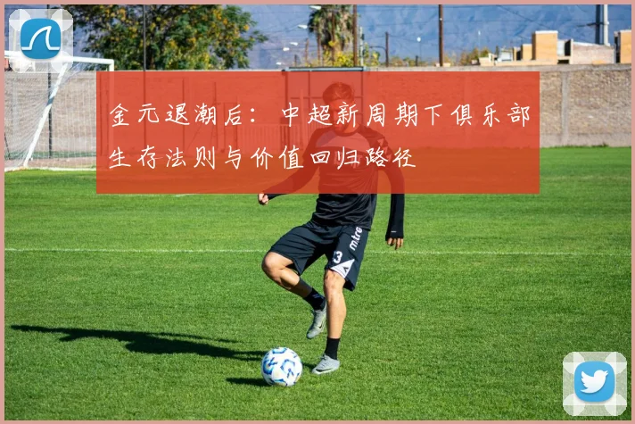 金元退潮后：中超新周期下俱乐部生存法则与价值回归路径