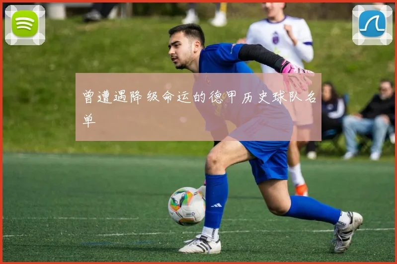 曾遭遇降级命运的德甲历史球队名单